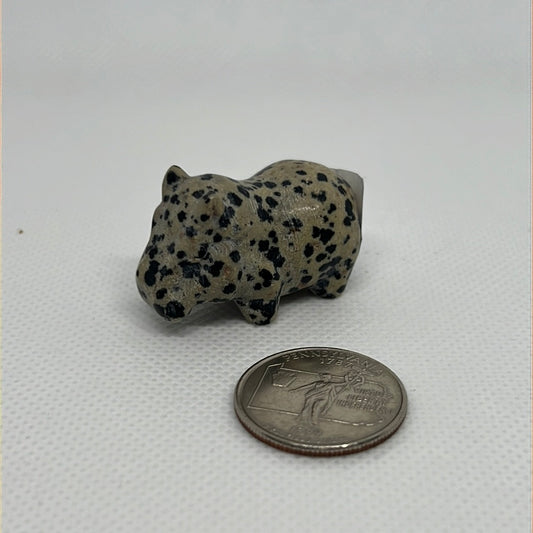 Dalmation Jasper Hippo