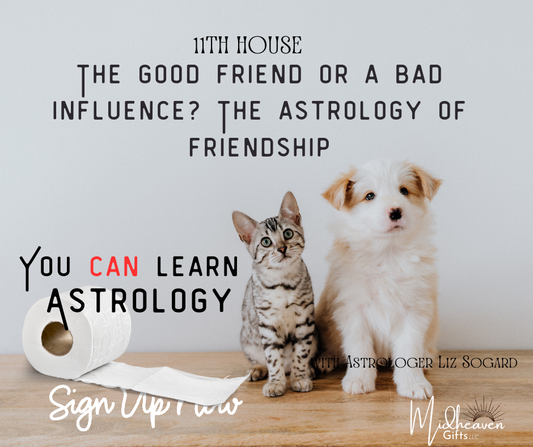 You CAN Learn Astrology Class:The Good Friend or a Bad Influence? The Astrology of Friendship - 11/19/24