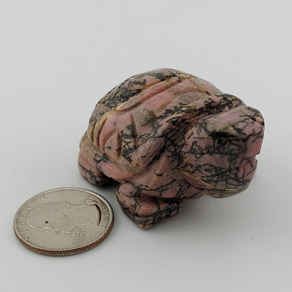 Rhodonite Turtle