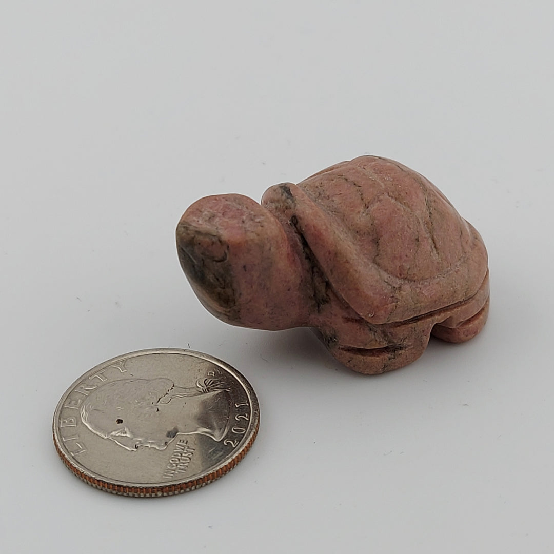 Rhodonite Turtle