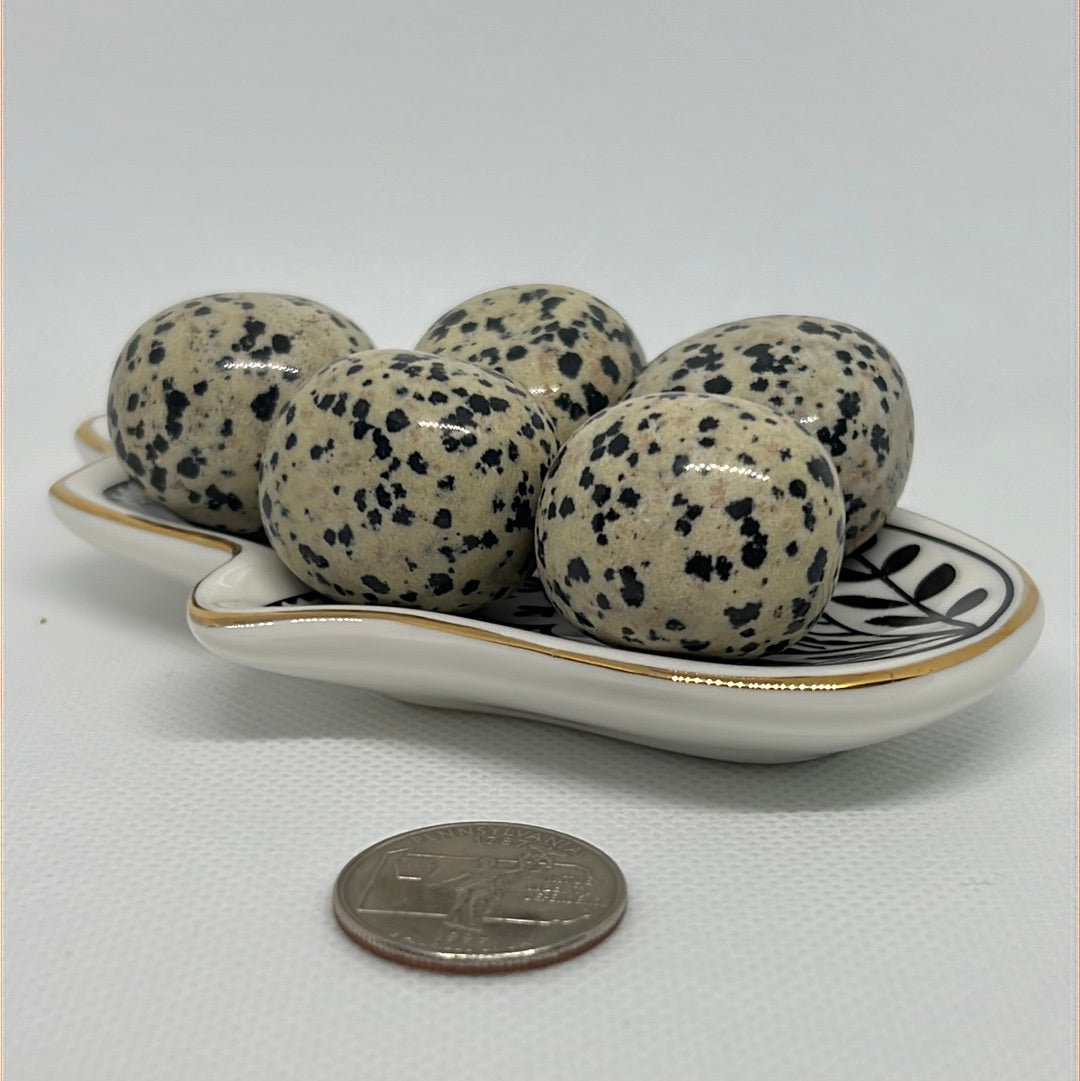 Dalmation Jasper Tumble