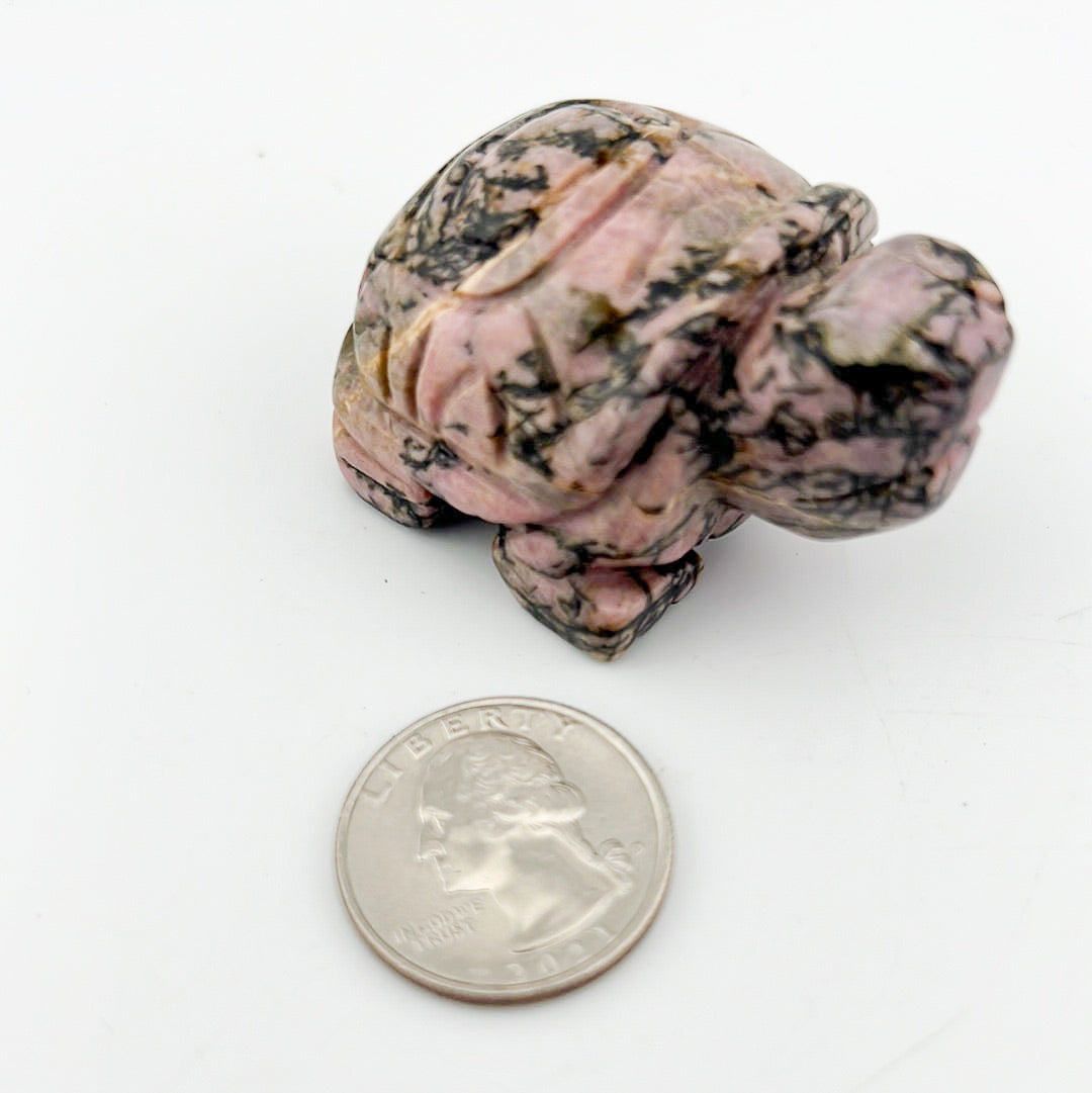 Rhodonite Turtle