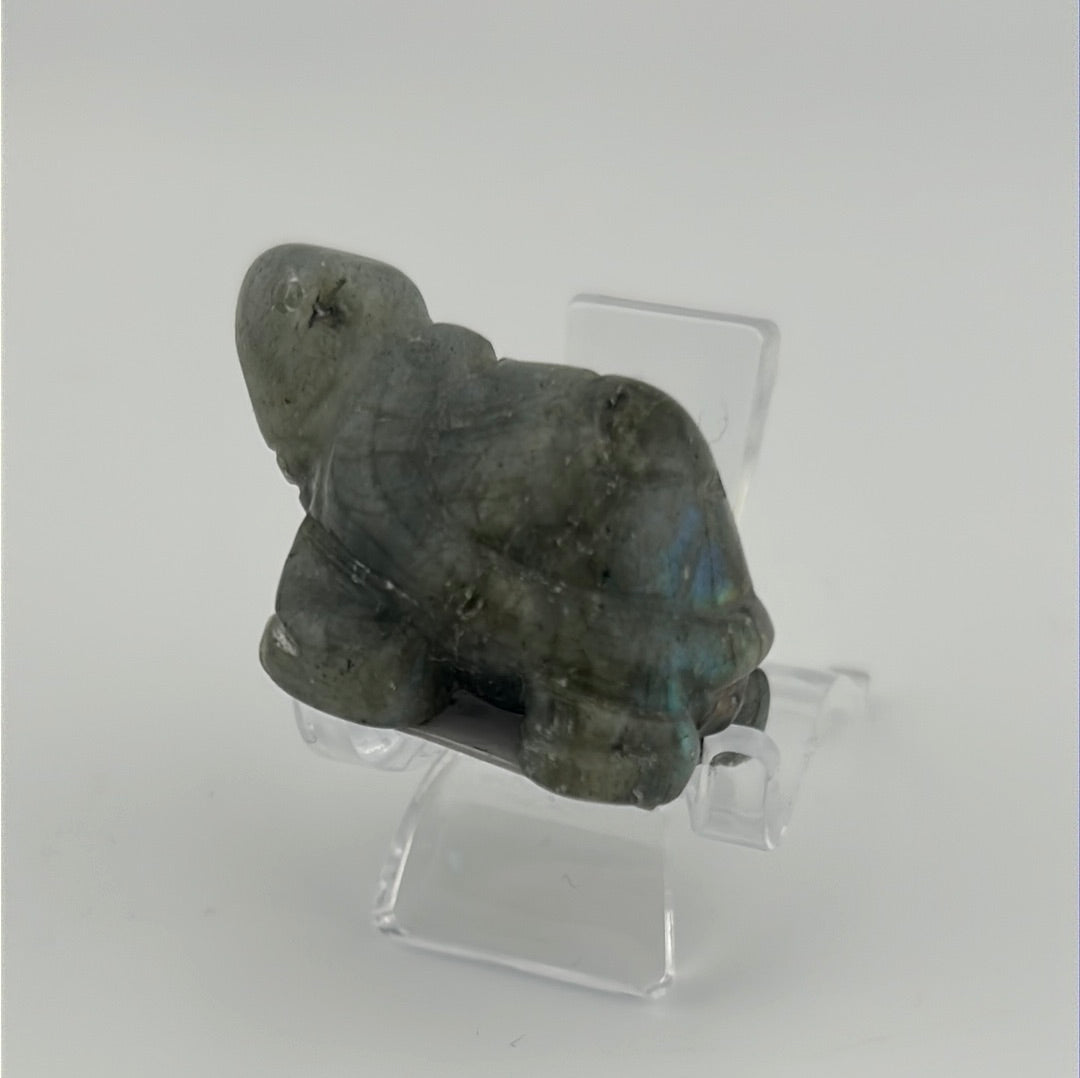 Labradorite Turtle