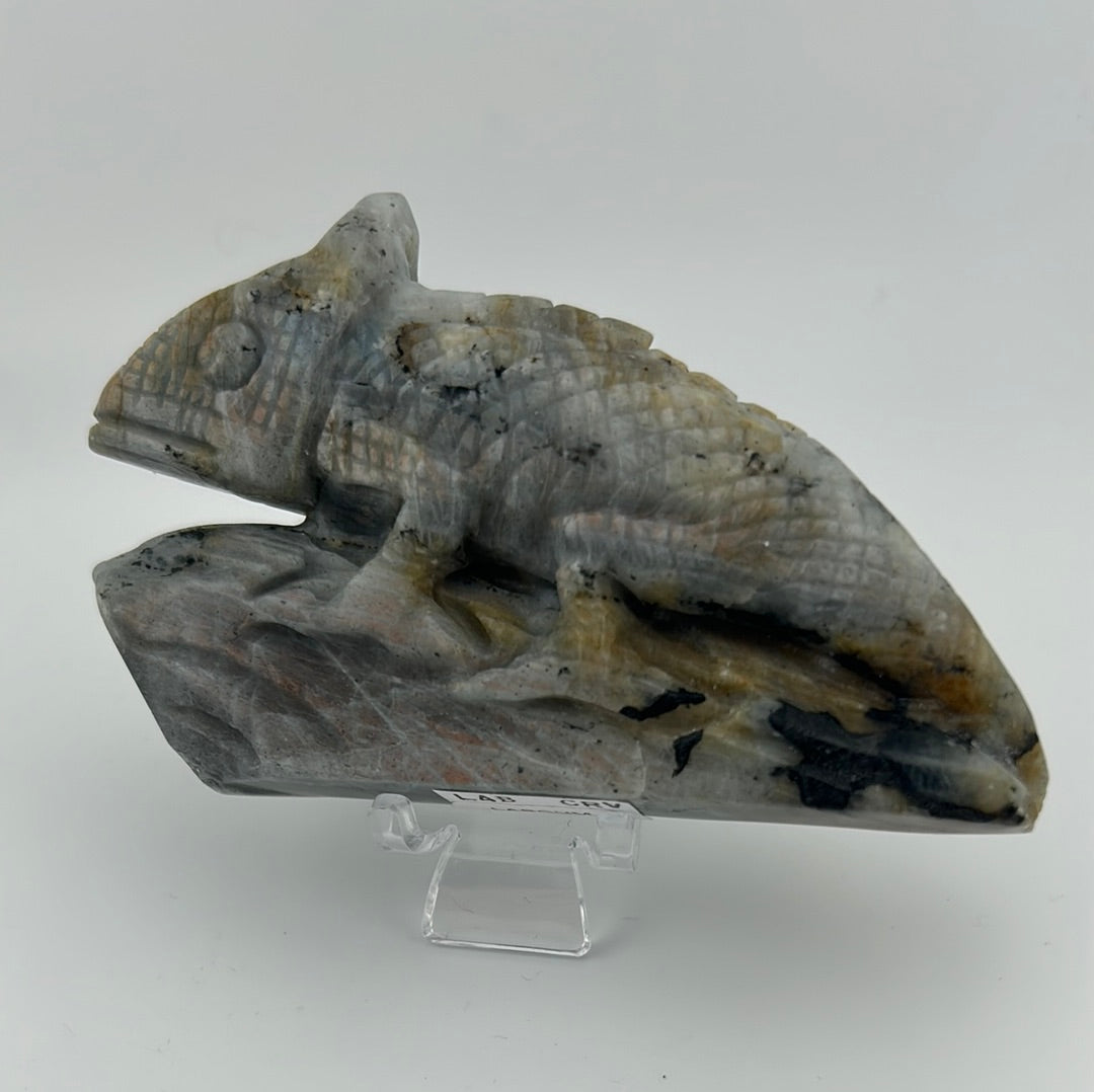 Labradorite Chameleon