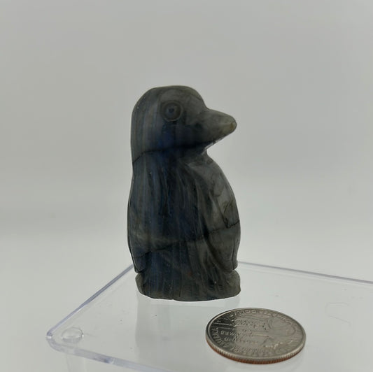 Labradorite Penguin