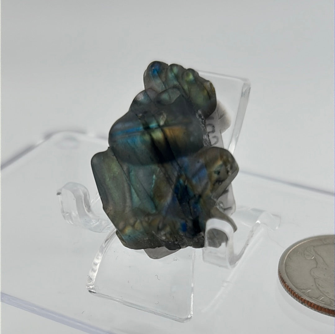 Labradorite Frog