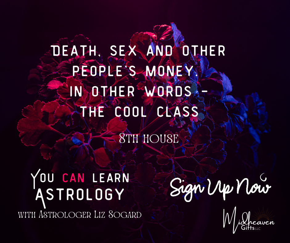 You CAN Learn Astrology Class: Death, Sex, and Other People's Money - The Cool Class - 10/29/24