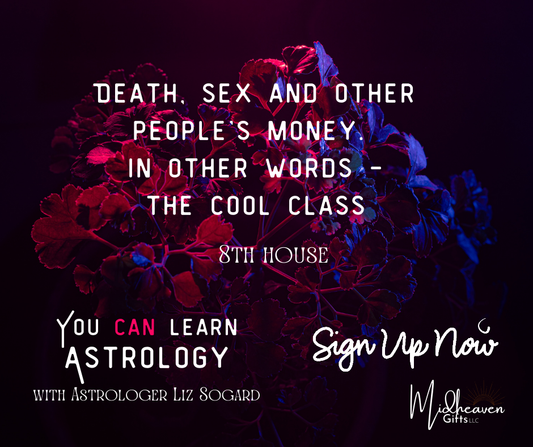 You CAN Learn Astrology Class: Death, Sex, and Other People's Money - The Cool Class - 10/29/24