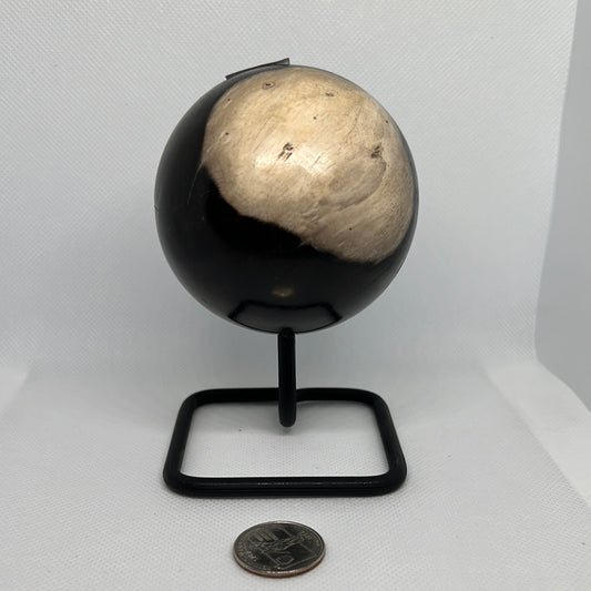 Petrified Wood Sphere