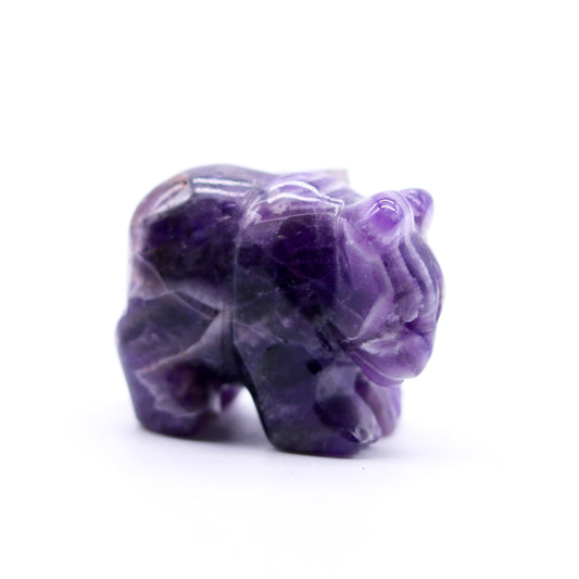 Amethyst Bear