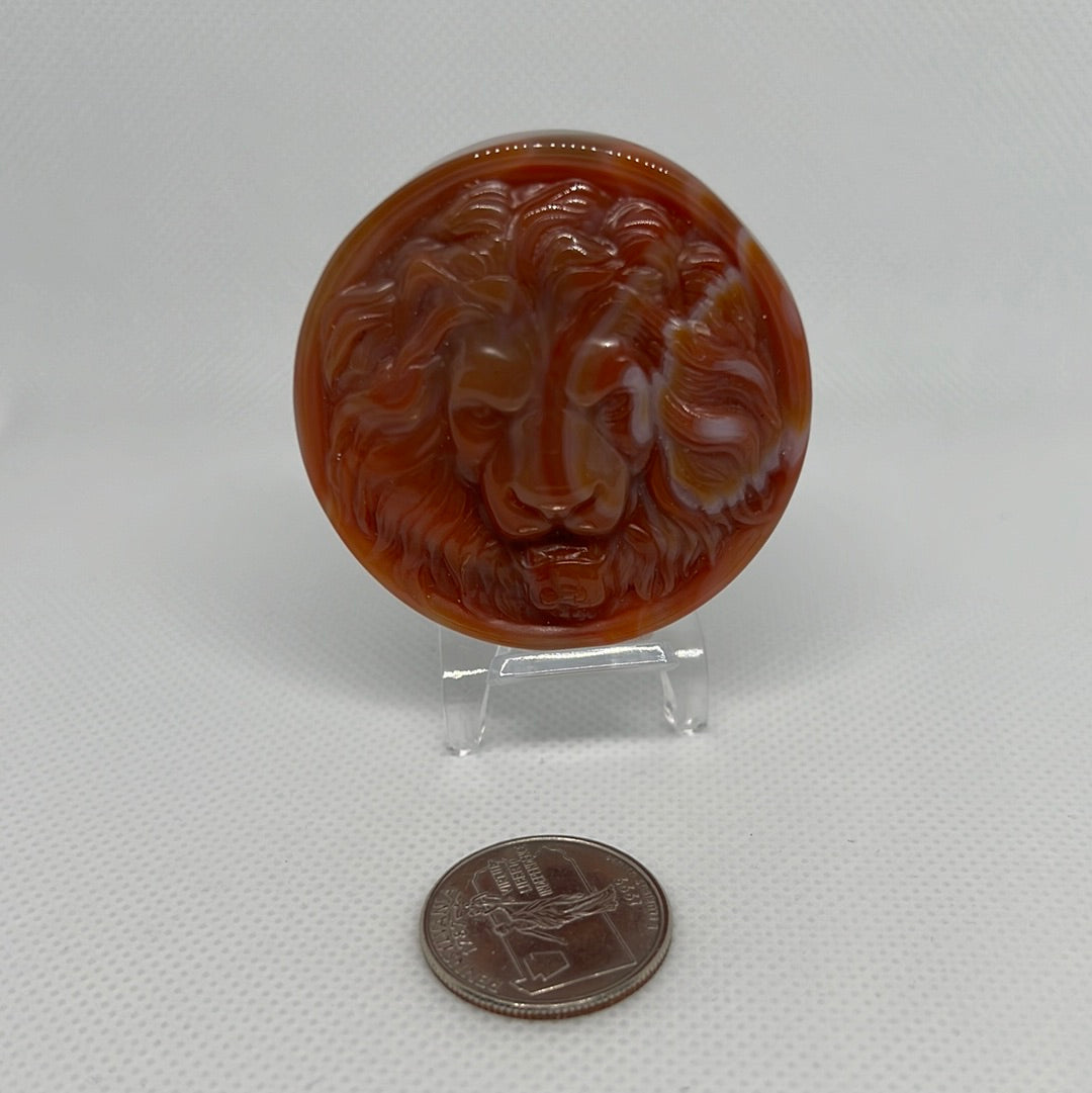 Carnelian Lion