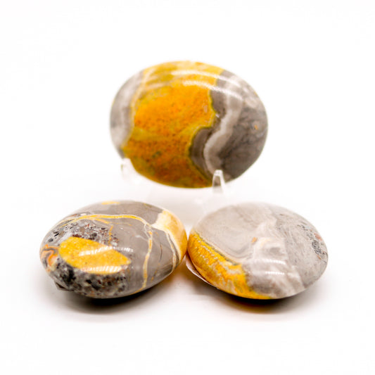 Bumblebee  Jasper Palm Stone