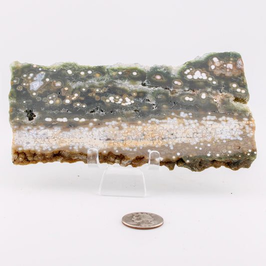 Ocean Jasper Slab