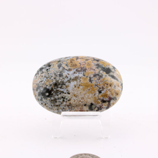 Ocean Jasper Palm Stone