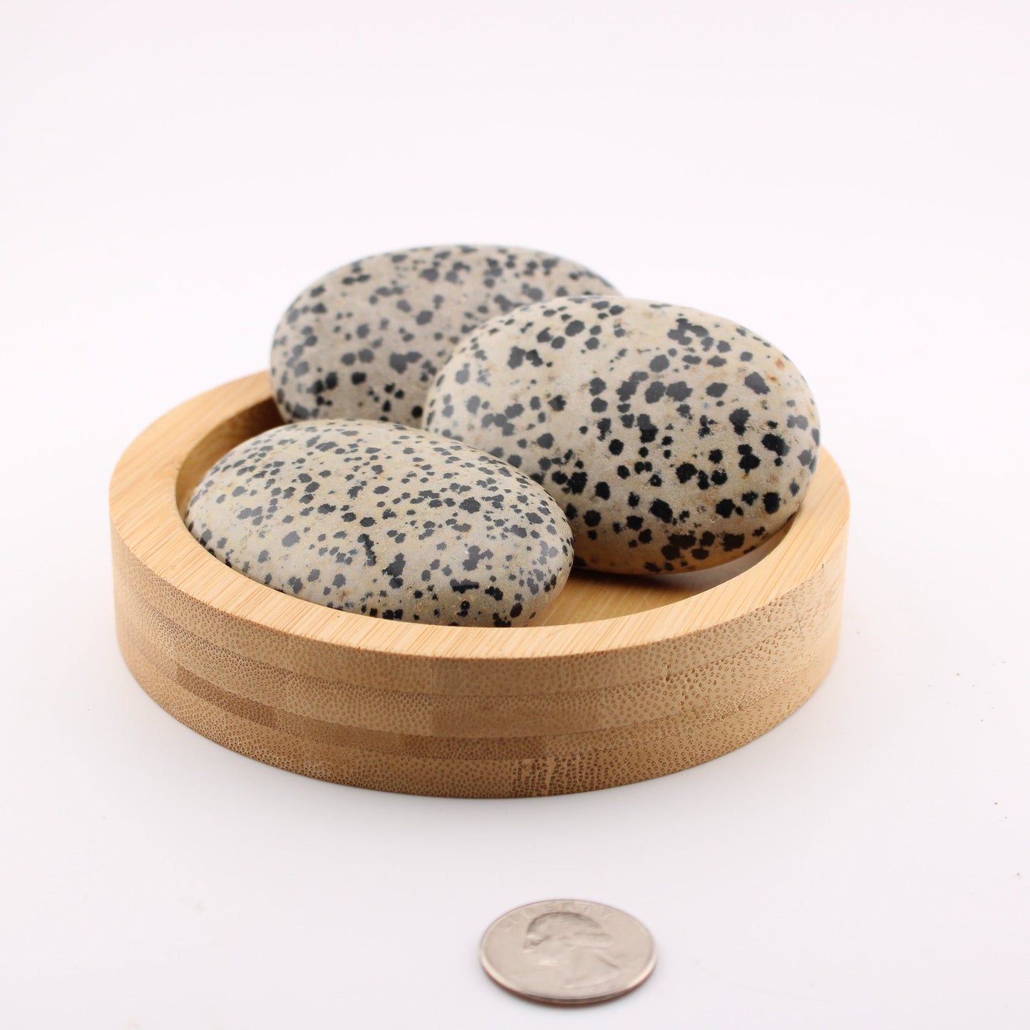 Dalmation Jasper Palm Stone