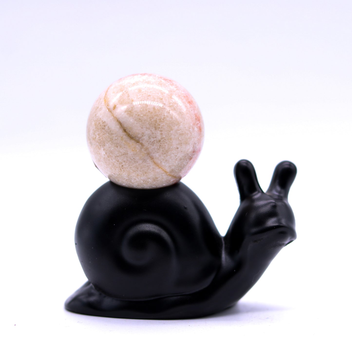 Black Snail Sphere Holder