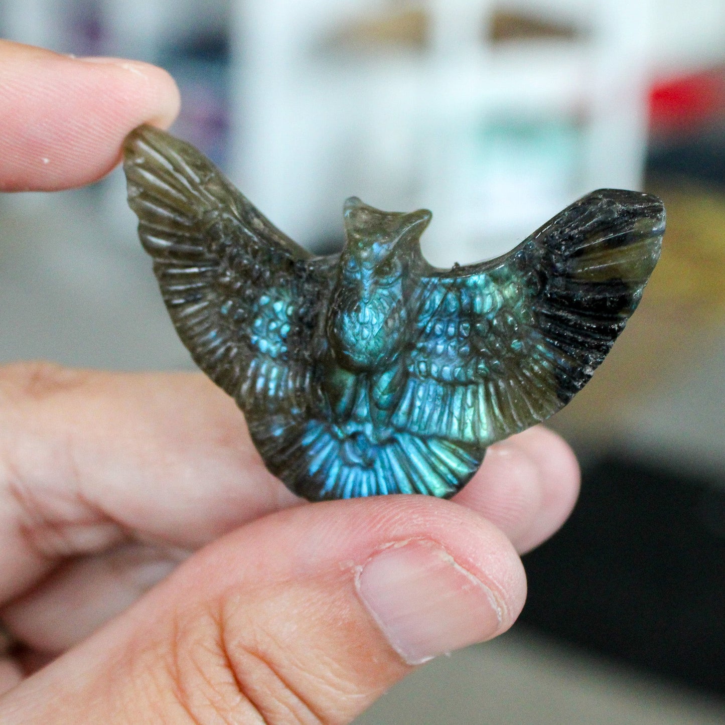 Labradorite Owl