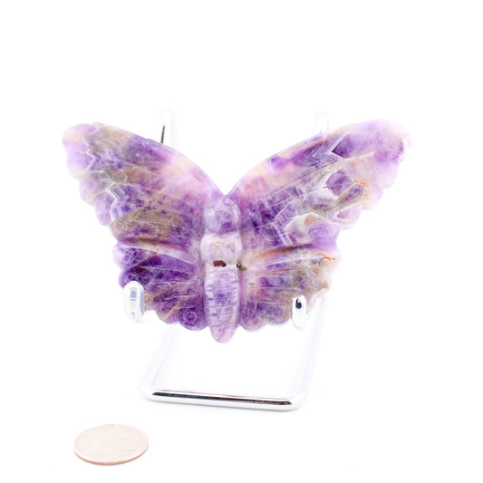 Amethyst Butterfly