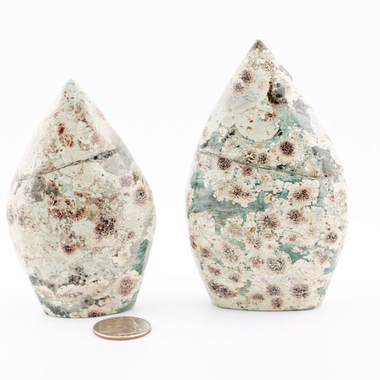 Green Flower Jasper Flame