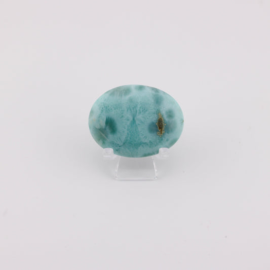 Larimar Palm Stone