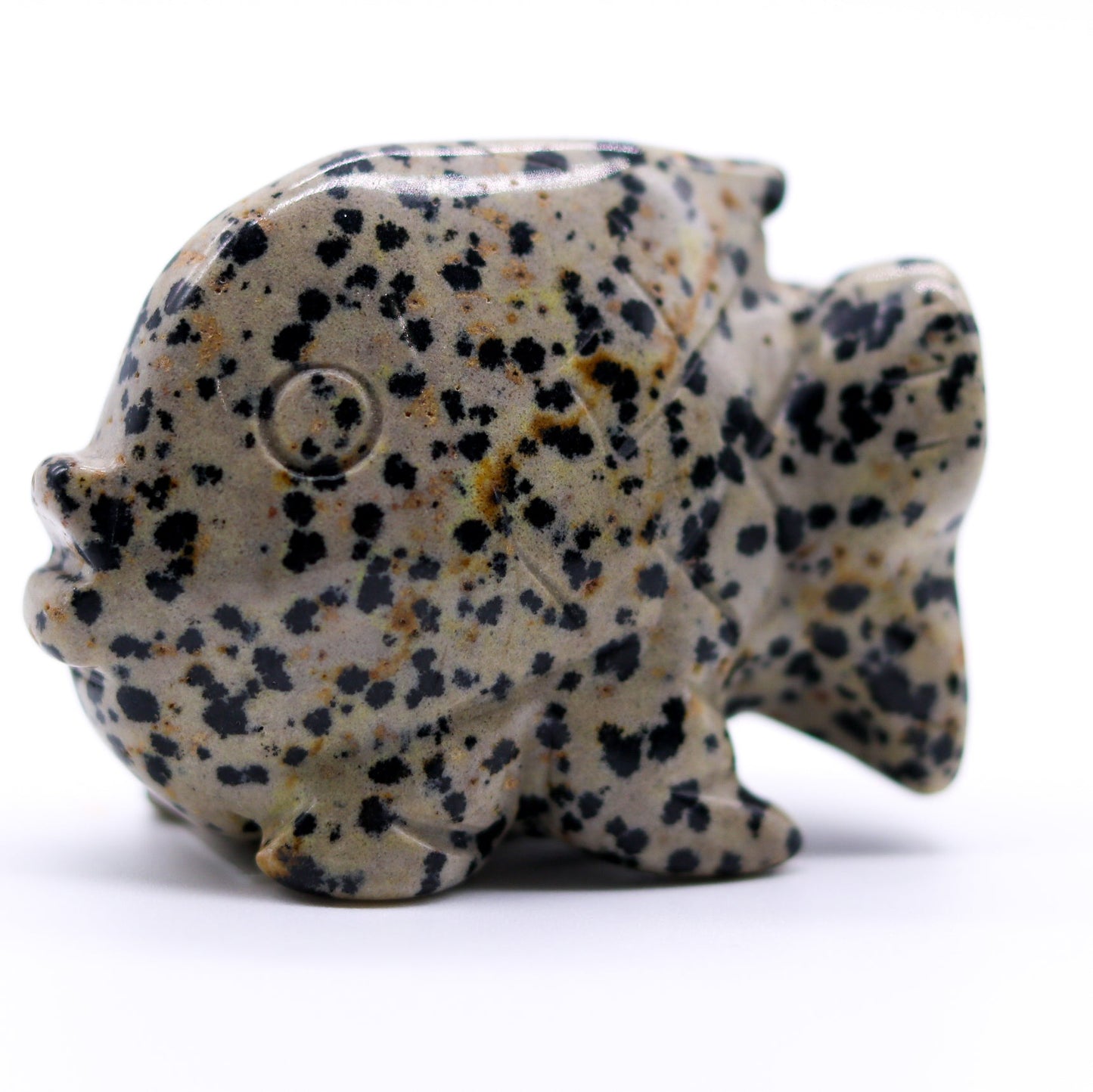 Dalmation Jasper Fish