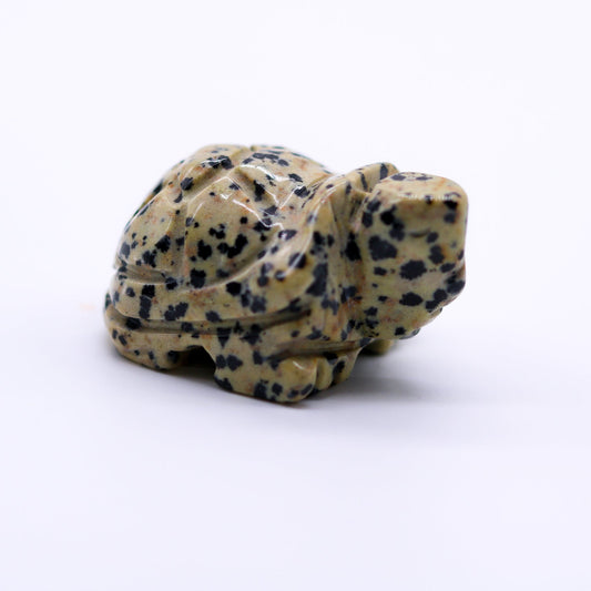 Dalmation Jasper Turtle