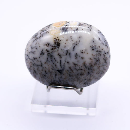 Dendritic Opal Palm Stone