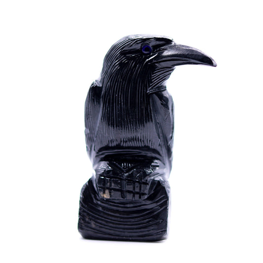 Black Onyx Raven