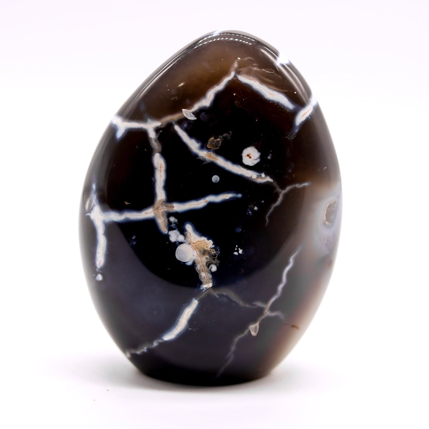 Orca Agate Free Form