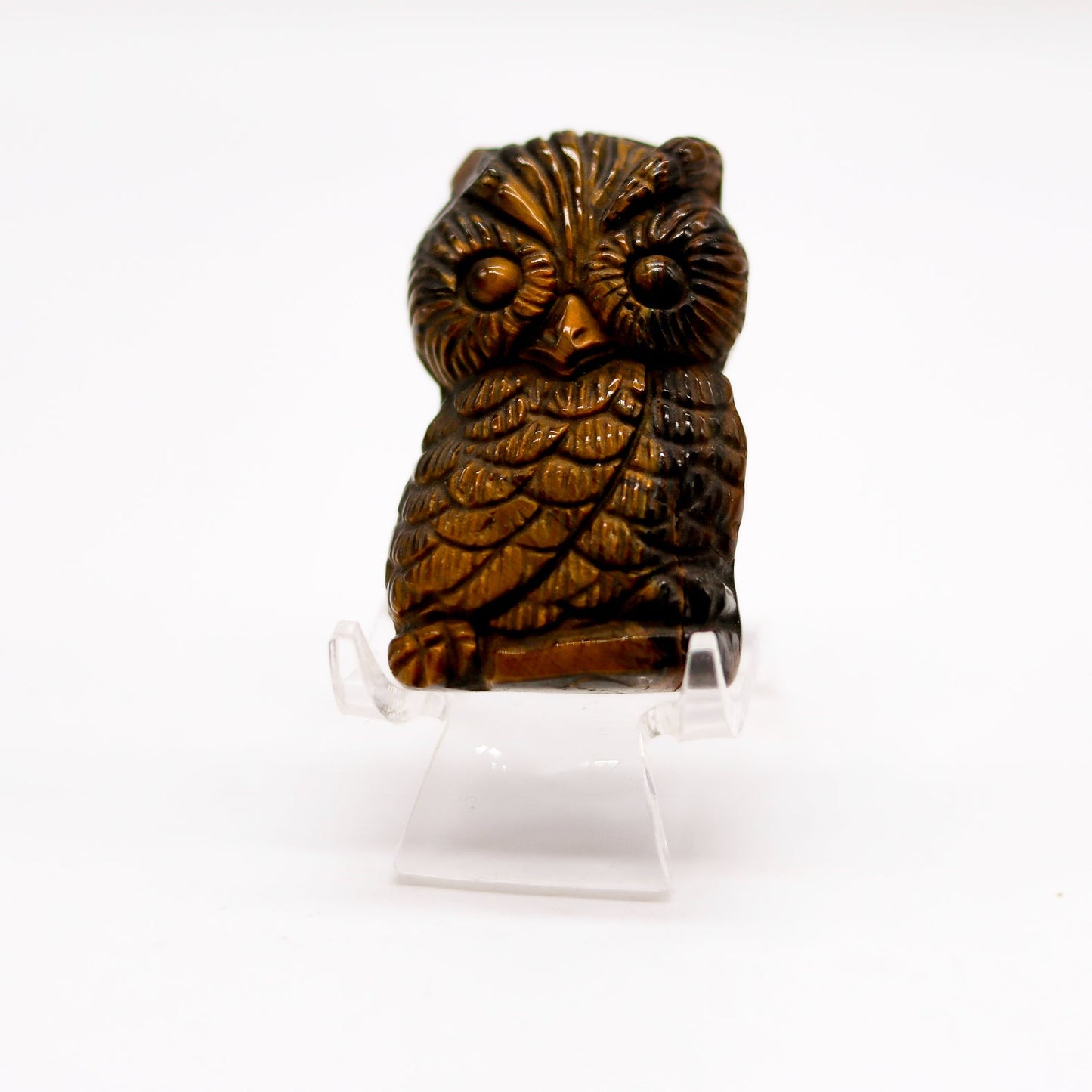 Tigers Eye Owl