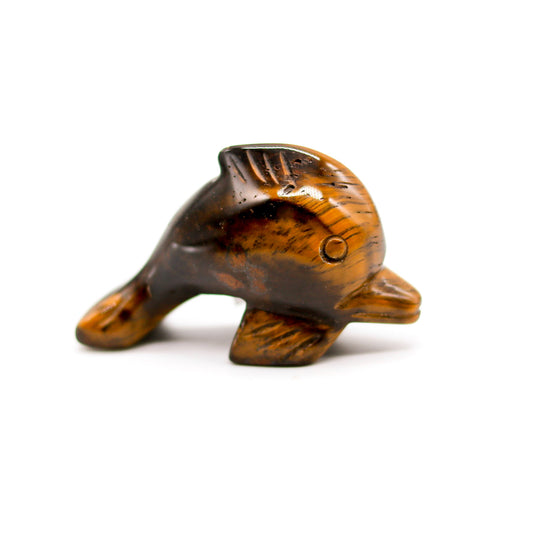 Tigers Eye Dolphin