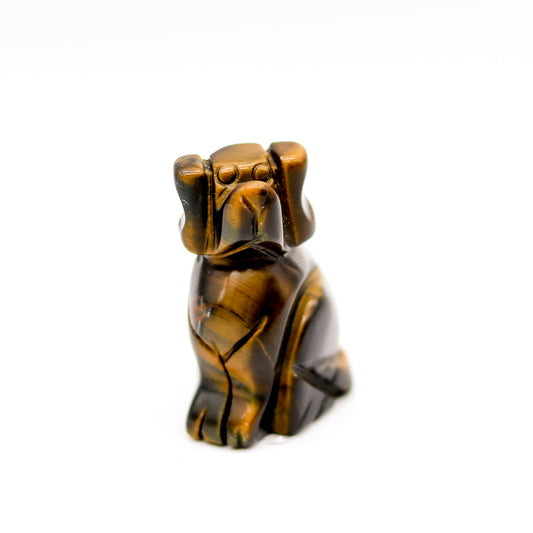 Tigers Eye Dog