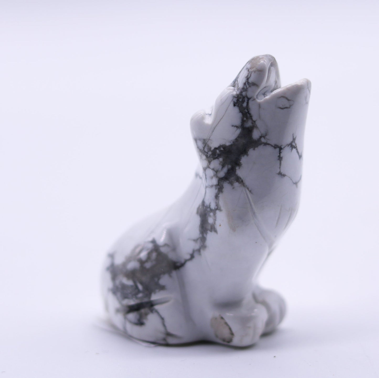 Howlite Wolf