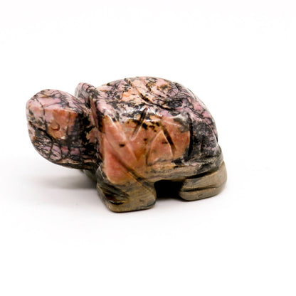 Rhodonite Turtle