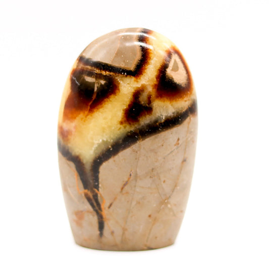 Septarian Free Form