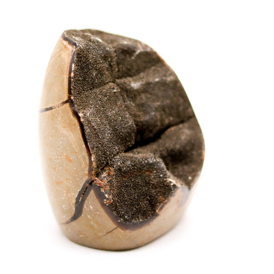 Septarian Egg