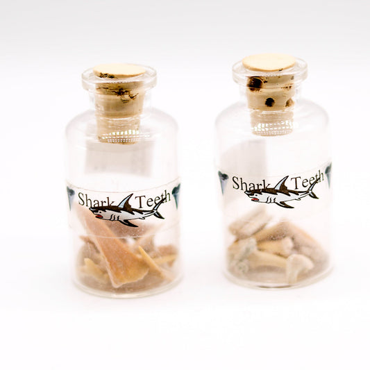 Shark Tooth Bottles